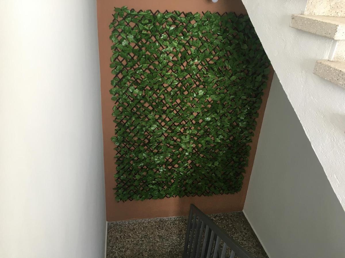 Apartament Ellenapa Apts & *