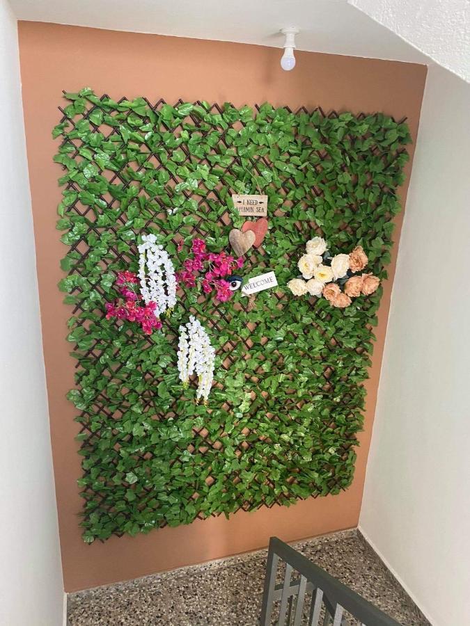 Ellenapa Apts & Apartament